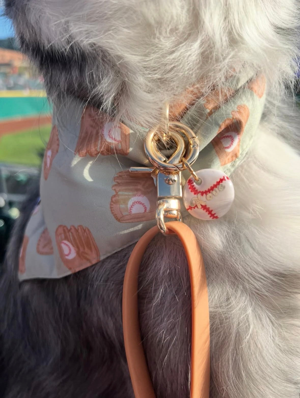 Custom Dog Tags