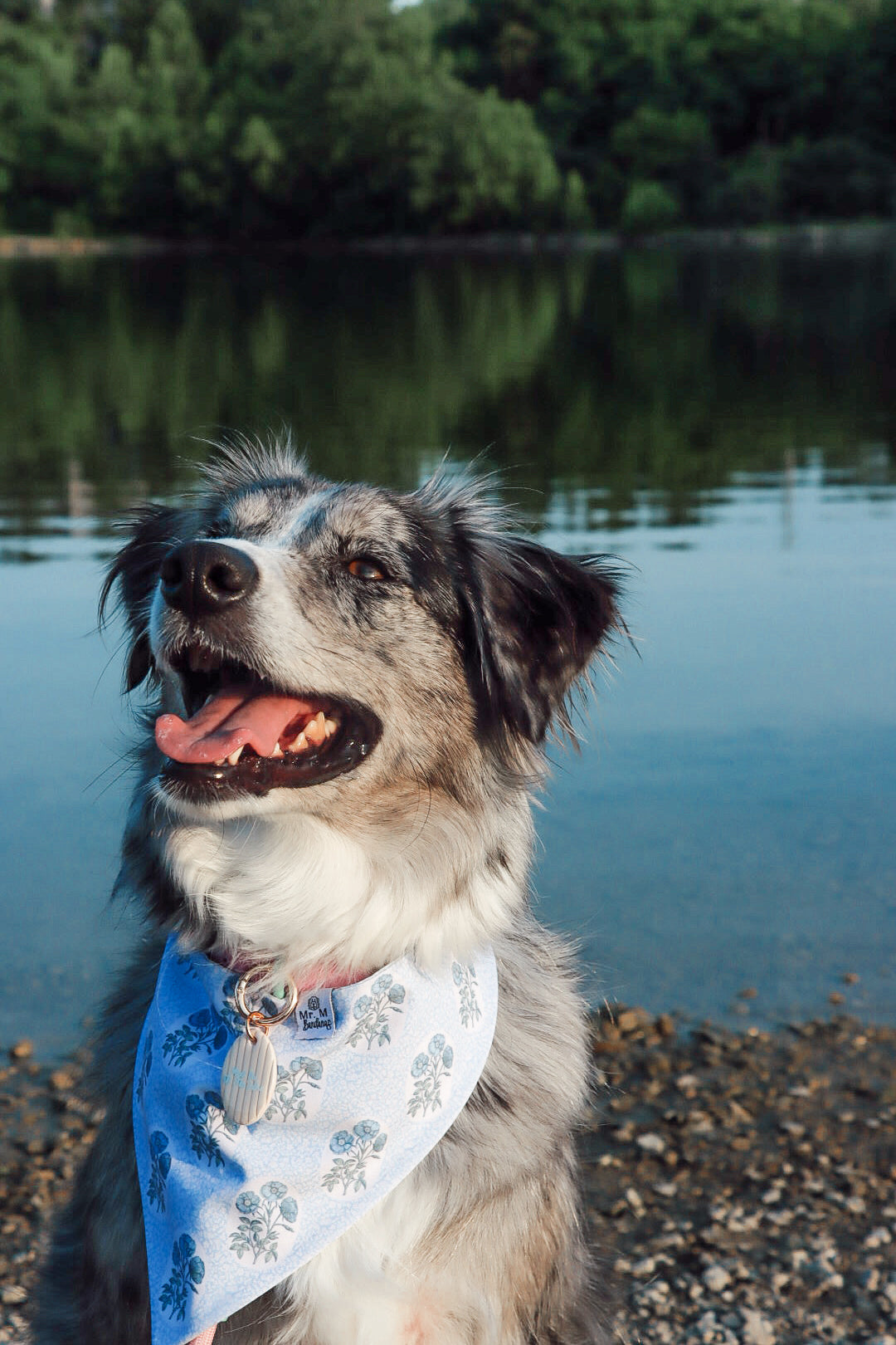 Meet Me At The Lake