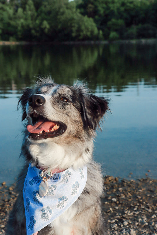 Meet Me At The Lake
