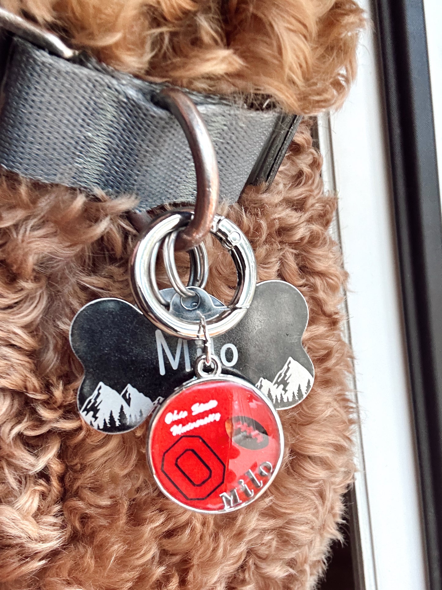 Custom Football Tags