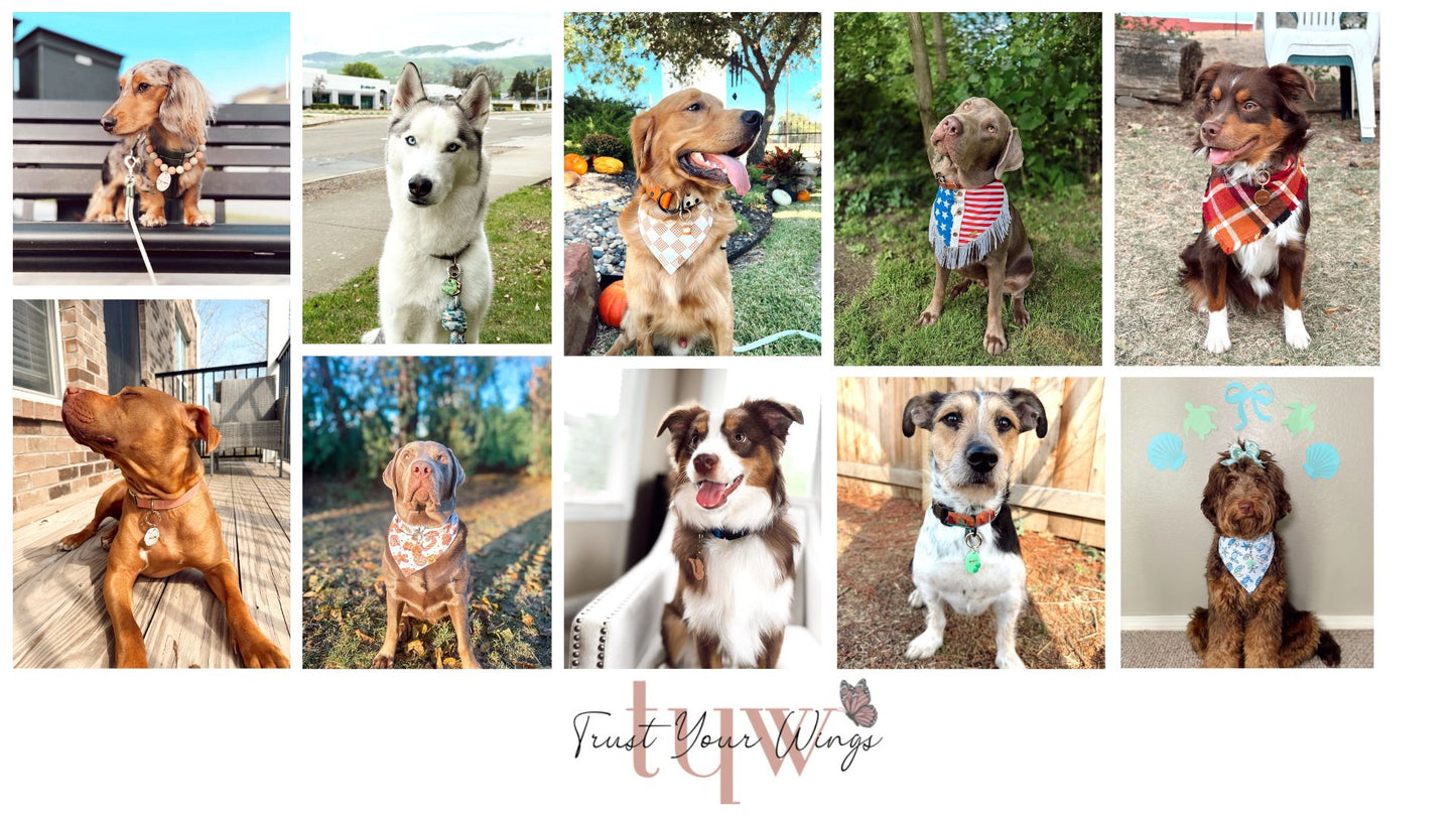 Custom Dog Tags