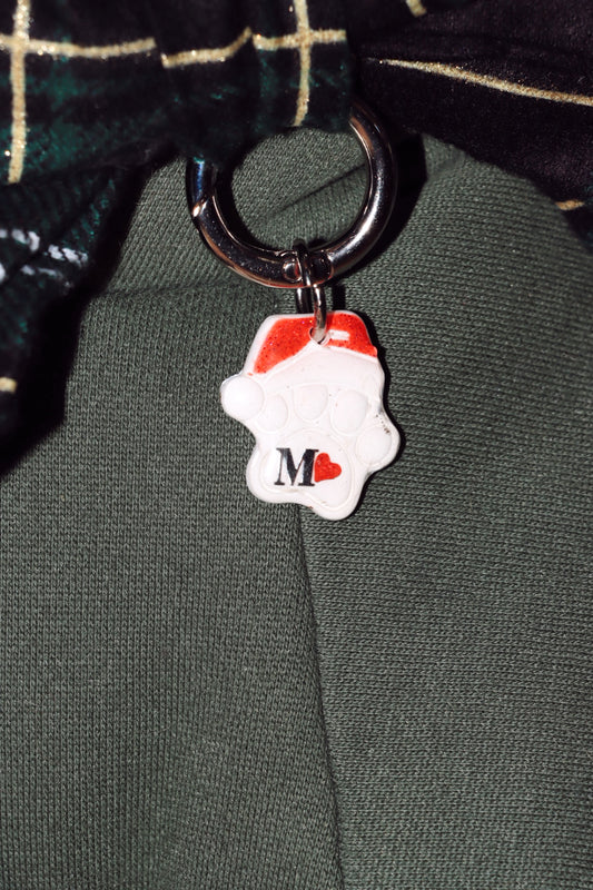 Santa Paws Tag