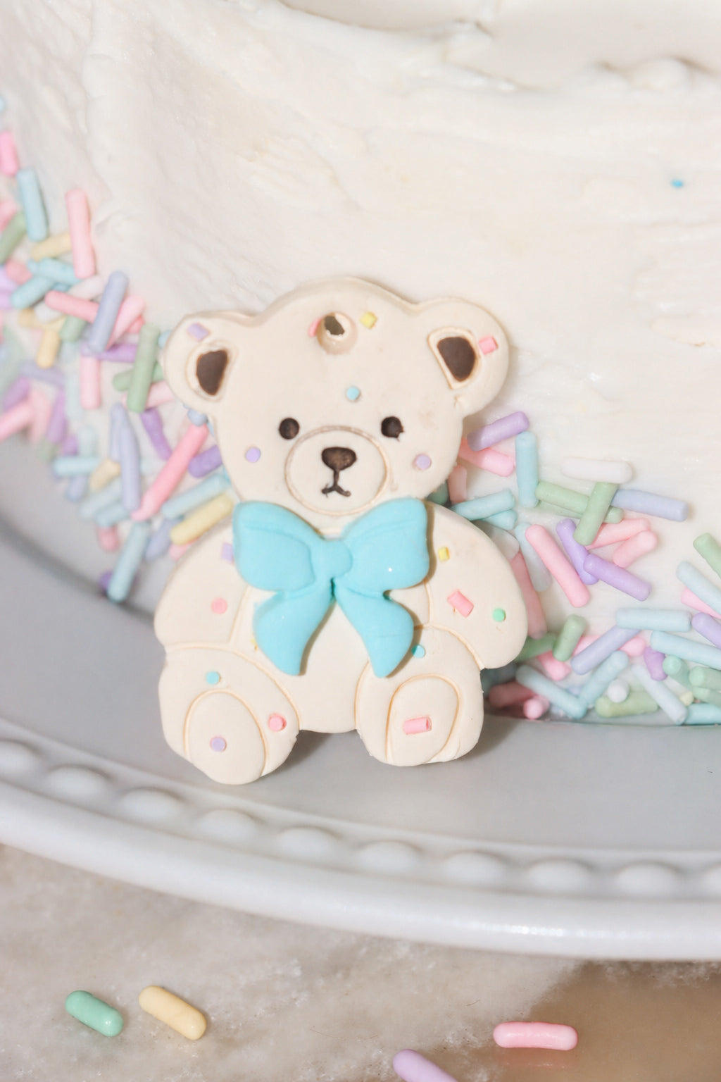 Confetti Teddy